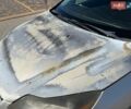 Сірий Форд Фокус, об'ємом двигуна 2 л та пробігом 184 тис. км за 4700 $, фото 11 на Automoto.ua