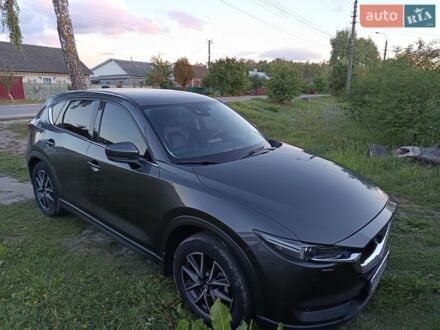 Сірий Форд Фокус, об'ємом двигуна 0 л та пробігом 270 тис. км за 2003 $, фото 1 на Automoto.ua