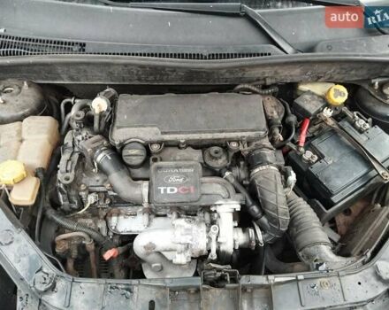 Форд Фьюжн 2003 в Киеве на Automoto.ua Черный Форд Фьюжн, объемом двигателя 1.4 л и пробегом 310 тыс. км за 3000 $, фото 4 на Automoto.ua