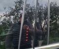 Форд Фьюжн 2017 в Виннице на Automoto.ua Черный Форд Фьюжн, объемом двигателя 2 л и пробегом 117 тыс. км за 15900 $, фото 31 на Automoto.ua