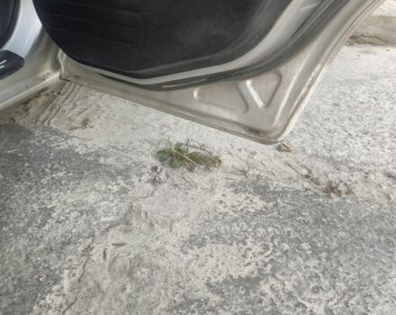 Сірий Форд Фьюжен, об'ємом двигуна 1.6 л та пробігом 232 тис. км за 3500 $, фото 13 на Automoto.ua