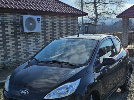 Форд КА 2008 в Черновцах на Automoto.ua Черный Форд КА, объемом двигателя 1.2 л и пробегом 2 тыс. км за 4683 $, фото 1 на Automoto.ua