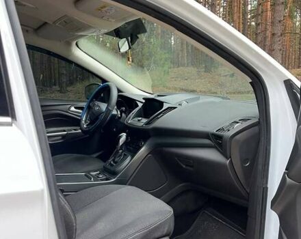 Форд Куга 2019 в Киеве на Automoto.ua Белый Форд Куга, объемом двигателя 1.5 л и пробегом 114 тыс. км за 18100 $, фото 6 на Automoto.ua