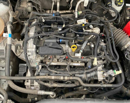 Белый Форд Куга, объемом двигателя 1.5 л и пробегом 54 тыс. км за 24600 $, фото 13 на Automoto.ua