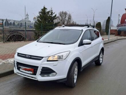 Форд Куга 2015 в Кременчуге на Automoto.ua Белый Форд Куга, объемом двигателя 0 л и пробегом 246 тыс. км за 12000 $, фото 1 на Automoto.ua