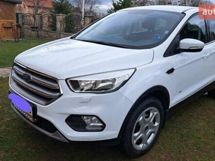 Форд Куга 2017 у Львові на Automoto.ua Білий Форд Куга, об'ємом двигуна 2 л та пробігом 331 тис. км за 14800 $, фото 1 на Automoto.ua