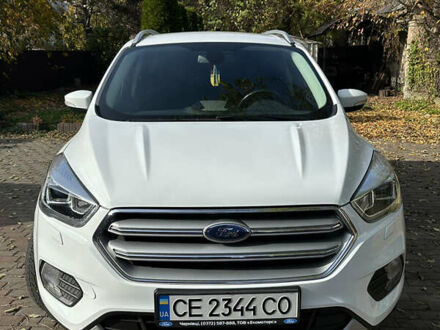 Форд Куга 2019 у Чернівцях на Automoto.ua Білий Форд Куга, об'ємом двигуна 1.5 л та пробігом 88 тис. км за 18000 $, фото 1 на Automoto.ua