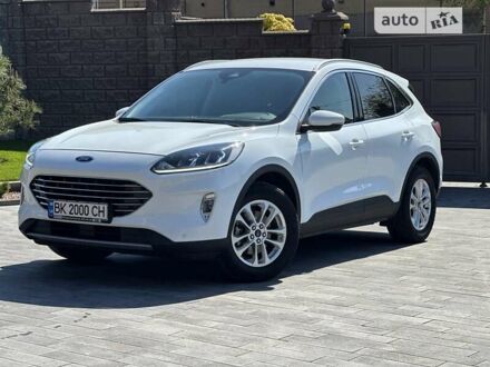Форд Куга 2020 в Ровно на Automoto.ua Белый Форд Куга, объемом двигателя 1.5 л и пробегом 62 тыс. км за 24600 $, фото 1 на Automoto.ua
