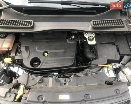 Форд Куга 2013 в Луцке на Automoto.ua Серый Форд Куга, объемом двигателя 2 л и пробегом 201 тыс. км за 14500 $, фото 15 на Automoto.ua