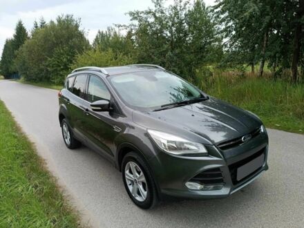 Форд Куга 2015 в Черновцах на Automoto.ua Серый Форд Куга, объемом двигателя 2 л и пробегом 127 тыс. км за 9100 $, фото 1 на Automoto.ua