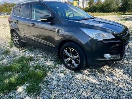 Форд Куга 2016 в Тернополе на Automoto.ua Серый Форд Куга, объемом двигателя 2 л и пробегом 133 тыс. км за 17000 $, фото 1 на Automoto.ua