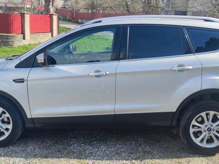 Форд Куга 2019 в Хмельнике на Automoto.ua Серый Форд Куга, объемом двигателя 1.5 л и пробегом 58 тыс. км за 18900 $, фото 1 на Automoto.ua