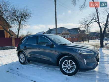 Форд Куга 2021 в Лохвице на Automoto.ua Серый Форд Куга, объемом двигателя 2 л и пробегом 37 тыс. км за 24800 $, фото 1 на Automoto.ua