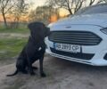 Белый Форд Мондео, объемом двигателя 2 л и пробегом 114 тыс. км за 15999 $, фото 1 на Automoto.ua