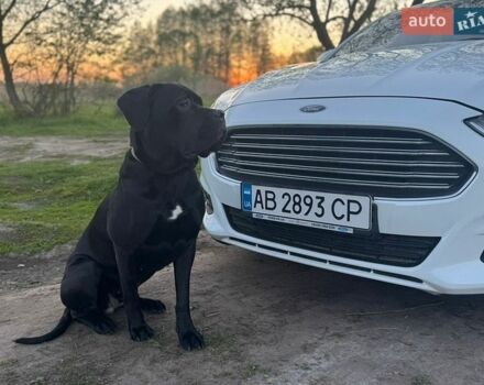 Белый Форд Мондео, объемом двигателя 2 л и пробегом 114 тыс. км за 17999 $, фото 1 на Automoto.ua