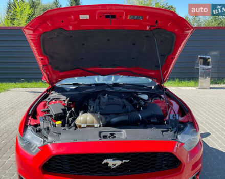 Красный Форд Мустанг, объемом двигателя 2.3 л и пробегом 235 тыс. км за 16900 $, фото 43 на Automoto.ua