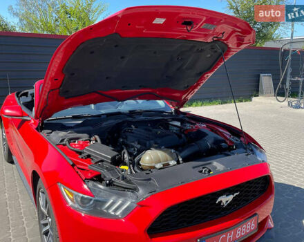 Красный Форд Мустанг, объемом двигателя 2.3 л и пробегом 235 тыс. км за 16900 $, фото 44 на Automoto.ua