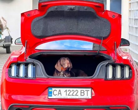 Красный Форд Мустанг, объемом двигателя 2.3 л и пробегом 100 тыс. км за 20500 $, фото 6 на Automoto.ua