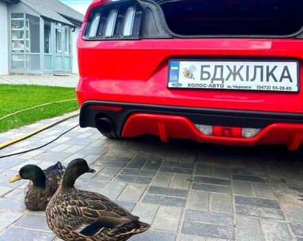 Красный Форд Мустанг, объемом двигателя 2.3 л и пробегом 100 тыс. км за 20500 $, фото 7 на Automoto.ua