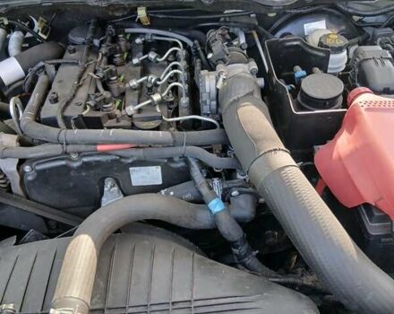 Форд Рейнджер 2016 у Борисполе на Automoto.ua Білий Форд Рейнджер, об'ємом двигуна 2.2 л та пробігом 258 тис. км за 15600 $, фото 16 на Automoto.ua