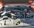 Форд Рейнджер 2024 в Киеве на Automoto.ua Красный Форд Рейнджер, объемом двигателя 3 л и пробегом 36 тыс. км за 27800 $, фото 1 на Automoto.ua