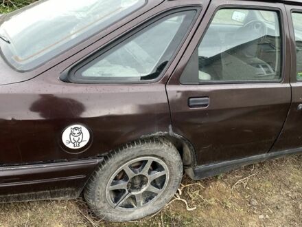 Форд Сиерра 1987 в Владимир-Волынский на Automoto.ua Коричневый Форд Сиерра, объемом двигателя 2 л и пробегом 3 тыс. км за 400 $, фото 1 на Automoto.ua