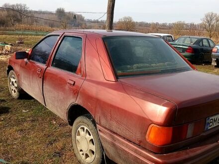 Форд Сієрра 1988 у Недригайлове на Automoto.ua Коричневий Форд Сієрра, об'ємом двигуна 2 л та пробігом 123 тис. км за 900 $, фото 1 на Automoto.ua