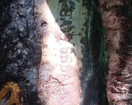 Сірий Форд Сієрра, об'ємом двигуна 0 л та пробігом 250 тис. км за 402 $, фото 7 на Automoto.ua