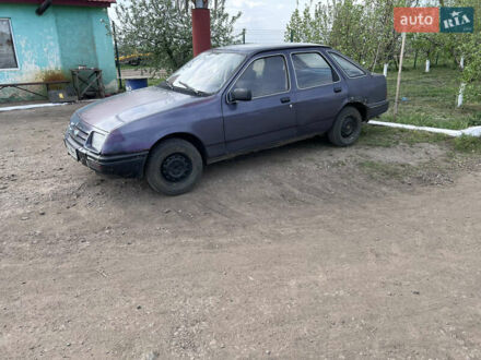 Форд Сієрра 1983 у Братском на Automoto.ua Сірий Форд Сієрра, об'ємом двигуна 2 л та пробігом 250 тис. км за 843 $, фото 1 на Automoto.ua