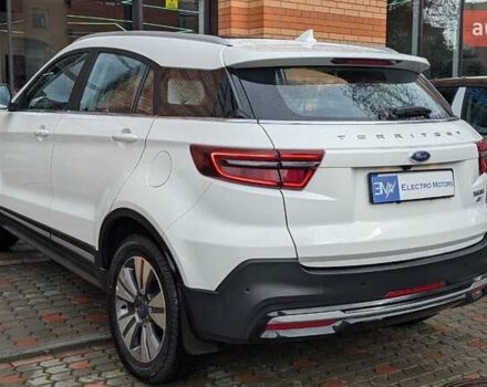 Белый Форд Территори, объемом двигателя 0 л и пробегом 50 тыс. км за 18499 $, фото 74 на Automoto.ua