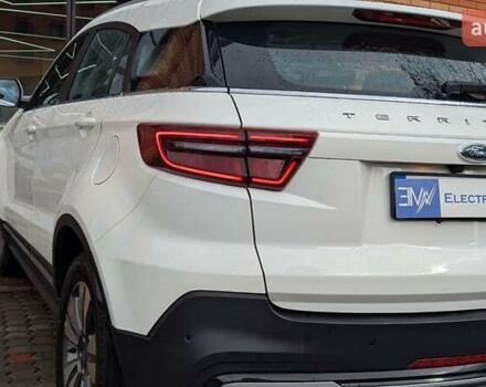 Белый Форд Территори, объемом двигателя 0 л и пробегом 50 тыс. км за 18499 $, фото 73 на Automoto.ua