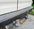 Білий Форд Транзит Коннект, об'ємом двигуна 1.8 л та пробігом 400 тис. км за 3800 $, фото 17 на Automoto.ua
