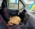 Белый Форд Транзит Коннект, объемом двигателя 1.75 л и пробегом 201 тыс. км за 4950 $, фото 5 на Automoto.ua