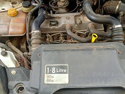 Форд Транзит Коннект 2003 в Никополе на Automoto.ua Белый Форд Транзит Коннект, объемом двигателя 1.8 л и пробегом 246 тыс. км за 3500 $, фото 1 на Automoto.ua