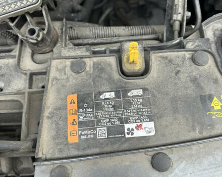 Сірий Форд Транзит Кастом, об'ємом двигуна 2 л та пробігом 255 тис. км за 21499 $, фото 133 на Automoto.ua