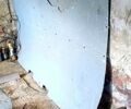 Белый Форд Транзит, объемом двигателя 2.2 л и пробегом 291 тыс. км за 12000 $, фото 7 на Automoto.ua