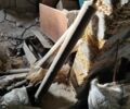Белый Форд Транзит, объемом двигателя 2.5 л и пробегом 200 тыс. км за 1325 $, фото 6 на Automoto.ua