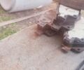 Белый Форд Транзит, объемом двигателя 2.2 л и пробегом 489 тыс. км за 1300 $, фото 10 на Automoto.ua