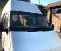 Білий Форд Транзит, об'ємом двигуна 2.5 л та пробігом 300 тис. км за 2000 $, фото 1 на Automoto.ua