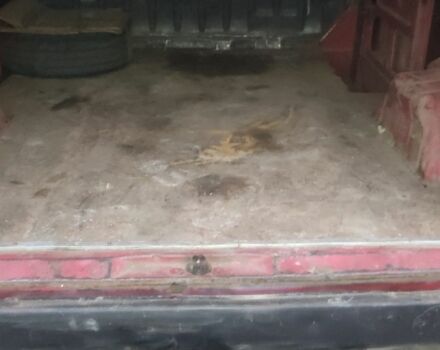 Червоний Форд Транзит, об'ємом двигуна 2.5 л та пробігом 1000 тис. км за 2350 $, фото 6 на Automoto.ua