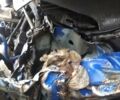 Форд Транзит пасс., объемом двигателя 2.4 л и пробегом 280 тыс. км за 2893 $, фото 11 на Automoto.ua