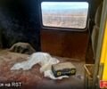 Желтый Форд Транзит, объемом двигателя 25 л и пробегом 220 тыс. км за 2800 $, фото 8 на Automoto.ua