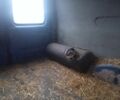 Синій Форд Транзит, об'ємом двигуна 2 л та пробігом 250 тис. км за 1104 $, фото 5 на Automoto.ua
