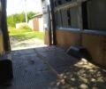 Синий Форд Транзит, объемом двигателя 2.4 л и пробегом 237 тыс. км за 6000 $, фото 14 на Automoto.ua