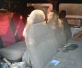 Синій Форд Транзит, об'ємом двигуна 2.5 л та пробігом 450 тис. км за 3390 $, фото 7 на Automoto.ua