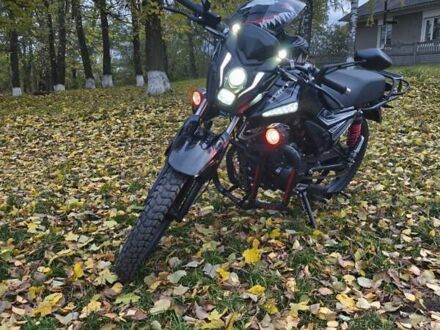 Форте 200R, объемом двигателя 0 л и пробегом 5 тыс. км за 1537 $, фото 1 на Automoto.ua