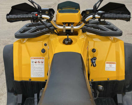 Форте ATV, объемом двигателя 0.2 л и пробегом 1 тыс. км за 1900 $, фото 7 на Automoto.ua