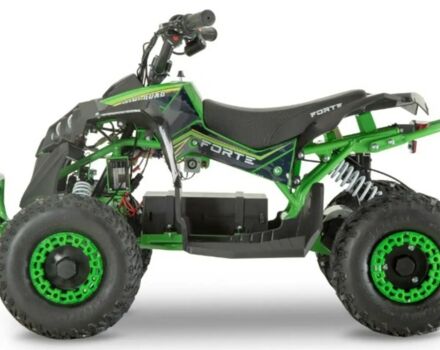 купити нове авто Форте ATV 1200 QB 2024 року від офіційного дилера Віталій Форте фото