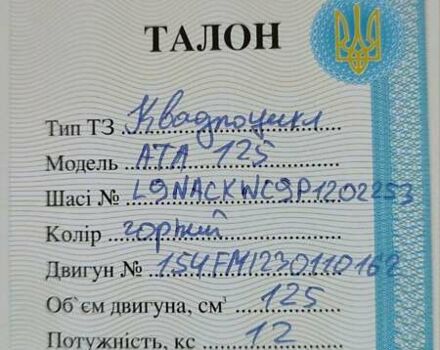 Форте ATV 125 2023 в Владимир-Волынский на Automoto.ua Черный Форте ATV 125, объемом двигателя 0 л и пробегом 2 тыс. км за 1000 $, фото 10 на Automoto.ua