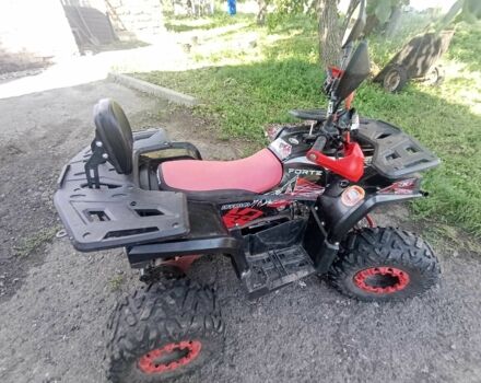 Форте ATV 125, об'ємом двигуна 0.13 л та пробігом 0 тис. км за 710 $, фото 5 на Automoto.ua
